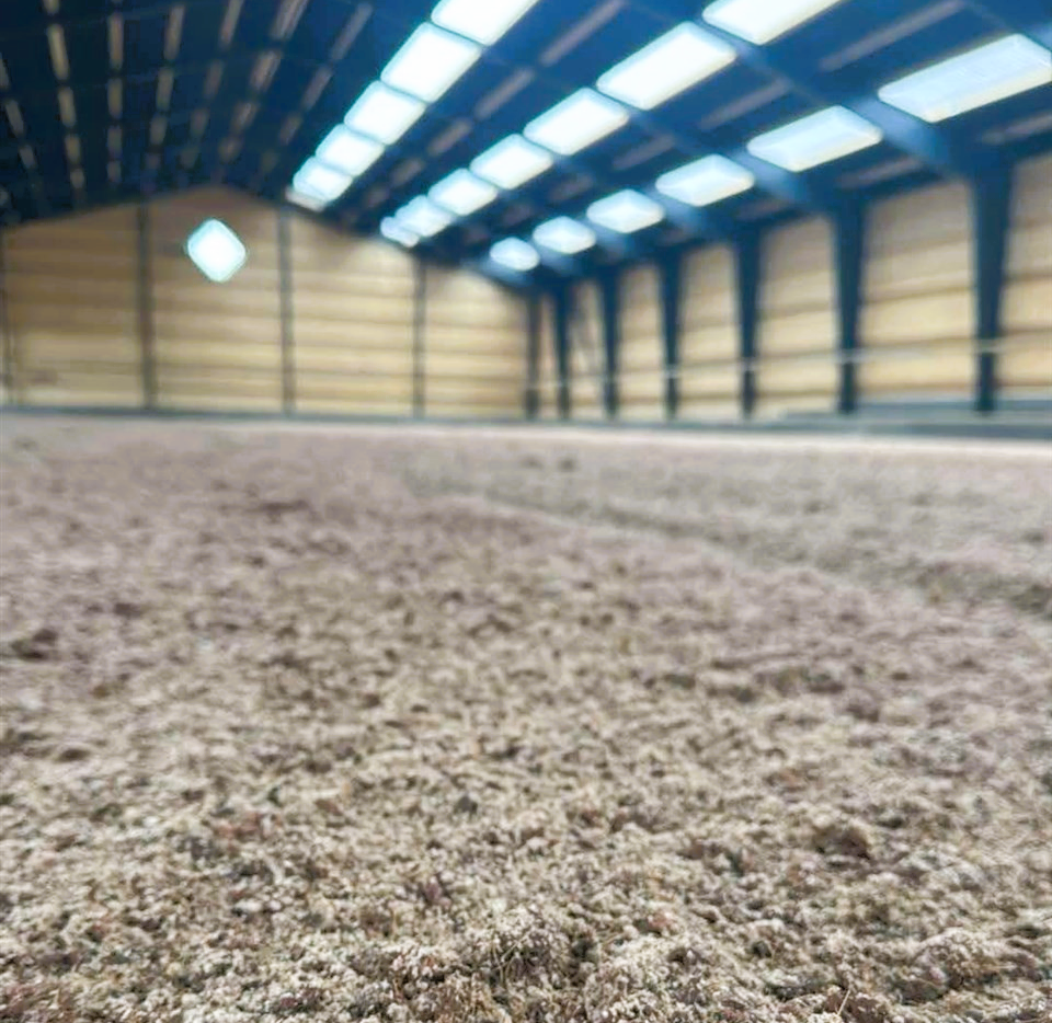 Noviun i en 20x50 m ridehal.
